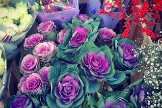 V-Mag - Der dreizehnte Monat von Erich Kästner