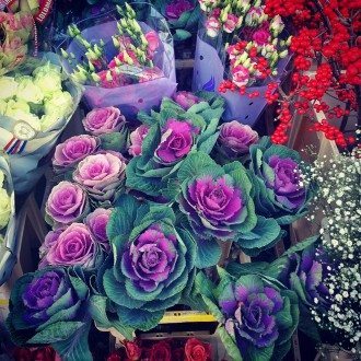 V-Mag - Der dreizehnte Monat von Erich Kästner