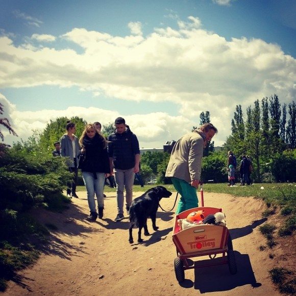 Mauerpark Flohmarkt - Verfuehrer Das Beste aus Berlin 17