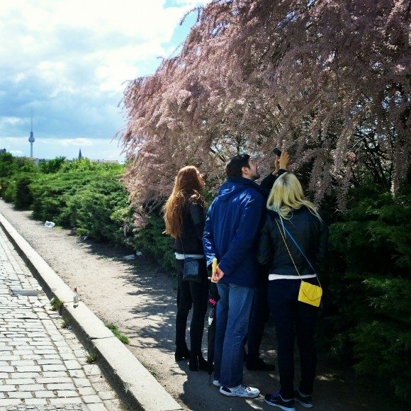 Mauerpark Flohmarkt - Verfuehrer Das Beste aus Berlin 21