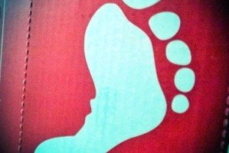 V-Mag - Pyronale 2015 - Barefoot Wine Logo