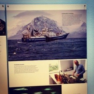 V-Mag - Our Arctic Future - Modedesign Groenland und Faeroer Inseln - 19