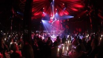 Verfuehrer - Das Beste aus Berlin - Dinner Curioso - Palazzo 2015_2016